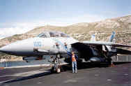 F-14_&_Nick.jpg (49575 bytes)