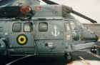 Super Puma 003.jpg (106331 bytes)