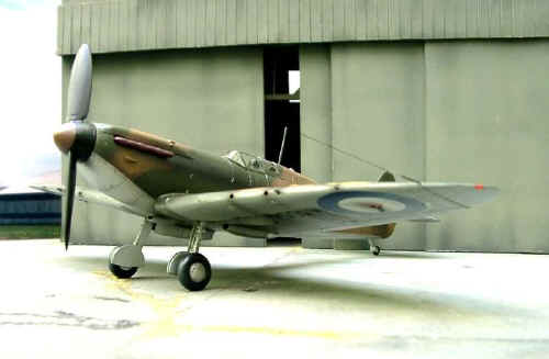 Spitfire K5054 camo N6.jpg (28216 bytes)